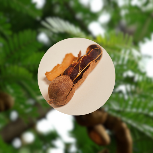 The Best Kept Secret of Tamarind Seed Extract
